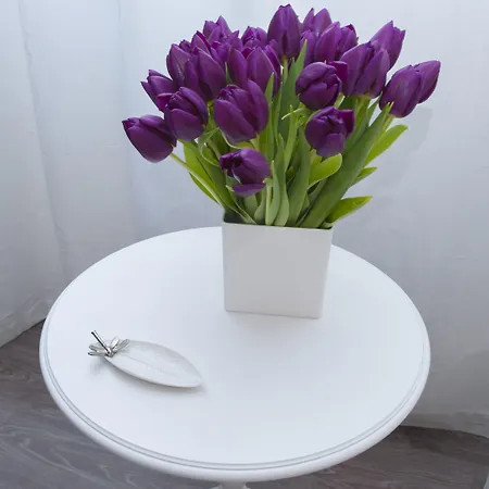 Bed & Breakfast Nobilcasa Roma